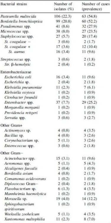 Tableau 1 : Bactéries isolées dans les cavités nasales de lapins atteints de rhinite.  (D’après : Rougier et al, 2006)  1