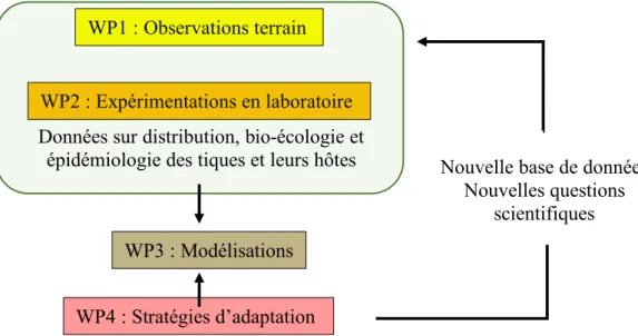Figure 8 : Organisation du projet Climatick (d'après INRA, 2018) 