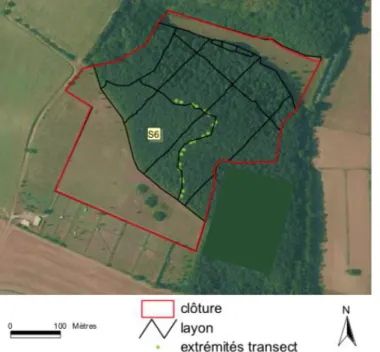 Figure 9 : Site de Gardouch Intérieur  noté S6 (Source : INRA)  