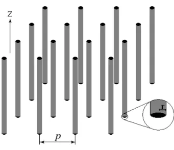 Fig. 2.6 – The geometry of wire medium: a lattice of parallel conducting thin wires. 