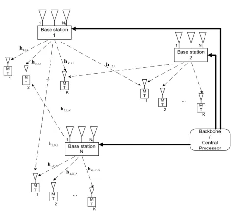 Figure 2.3: MIMO Broadcast Channel, Multicell Setup with N t antennas at