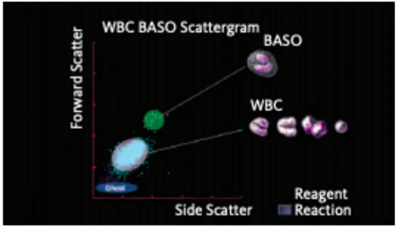 Figure 2 : Diagramme de dispersion du canal WBC- BASO de l'analyseur Sysmex XT  Le Sysmex Xt-2000iV est également doté de la technologie de fluoro-cytométrie  en flux, qui consiste à marquer, après destruction des hématies, les leucocytes avec un  fluoroch