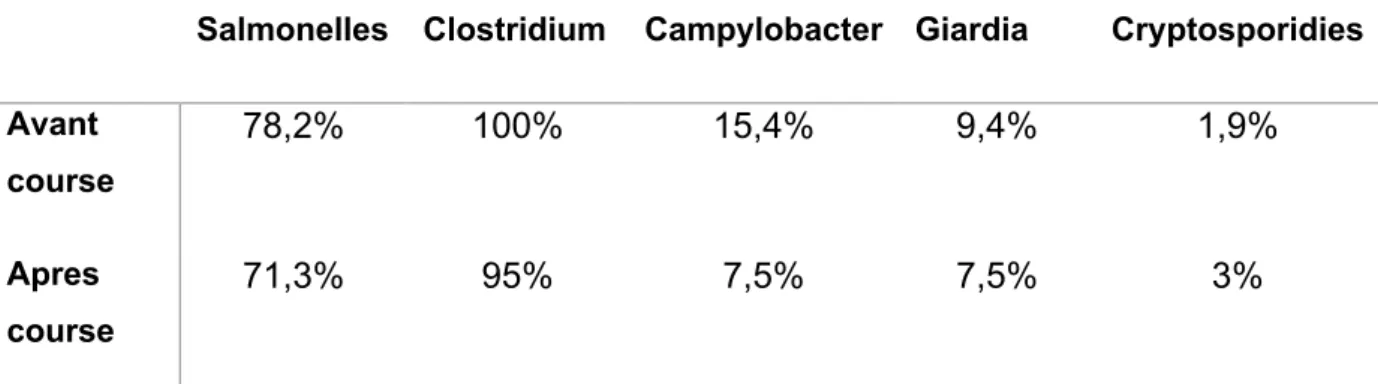 Tableau  2  :  Résultats  de  culture  de  Salmonelles,  Clostridium,  Campylobacter,  Giardia  et  Cryptosporidium dans les selles des chiens de traineau Alaskans Huskies (McKenzie et al., 2010) 