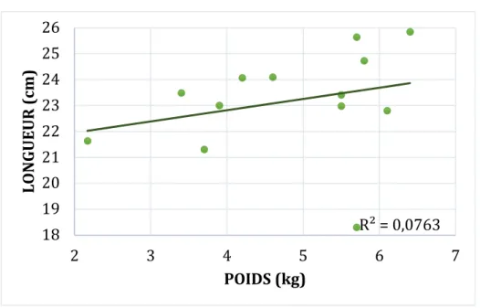 Graphique	3 .	 	 GRAPHIQUE	3:	INFLUENCE	DU	POIDS	SUR	LES	LONGUEURS	D'INTÉRÊT 	 	 		 	 	 	 	 R²	=	0,076318192021222324252623456 7LONGUEUR	(cm)POIDS	(kg)