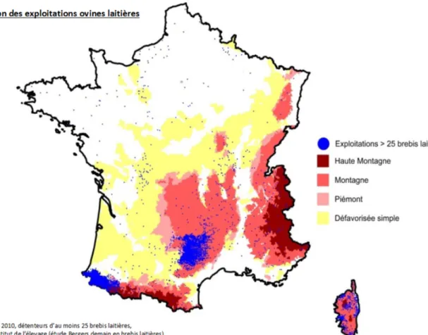 Illustration 2 : Répartition des exploitations ovines comptant plus de 25 brebis laitières  en France (Source : Idele) 
