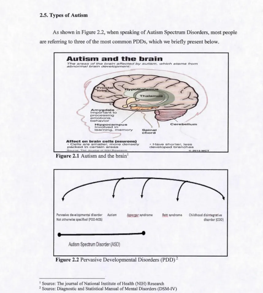 Figure 2.2 Pervasive Developmental Disorders (PDD)  2 