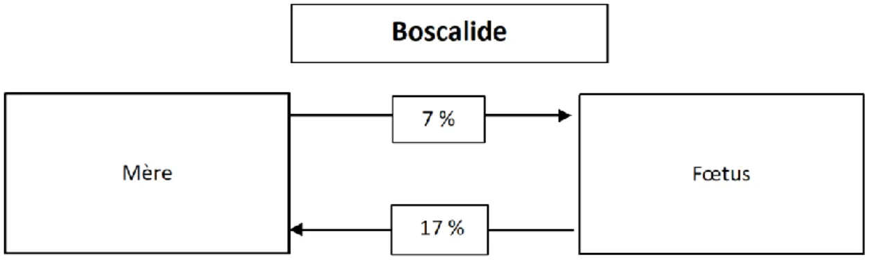 Tableau 11 : Principaux paramètres toxicocinétiques du boscalide chez 4 brebis gravides et 2 fœtus  cathétérisés après une administration IV de boscalide à la dose de 1 mg/kg