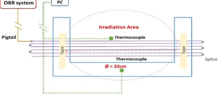 Fig. 3. Experimental setup. The fibers were fixed in series on a plexiglas plate without the applied strain