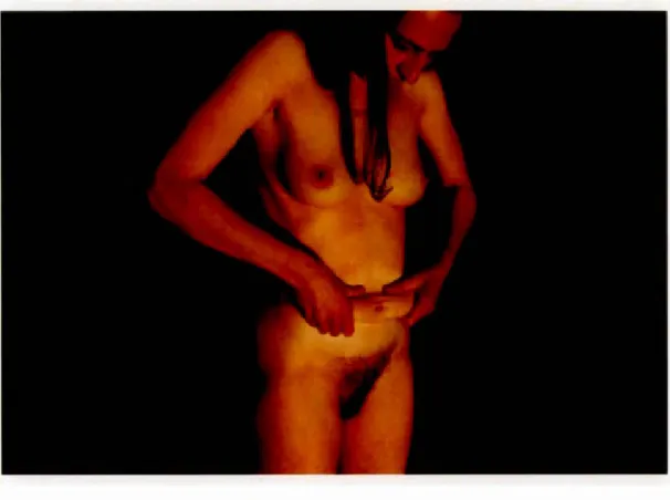 Figure 2.2 J é rôm e  B e l. J érô m e  B e l  (1 995 ) 