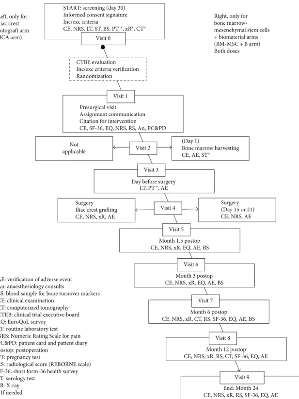 Figure 2: Flow diagram of the ORTHOUNION clinical trial.