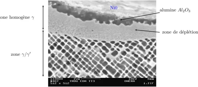 Fig. 3.29 – Observation de la zone de d´epl´etion `a t = TT3, couche localement continue d’alumine, couche de NiO en surface.