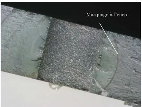 Fig. 3.37 – Faci`es de rupture d’une ´eprouvette perfor´ee d’un trou de 4 mm de diam`etre (CG5) observ´e par microscopie optique.