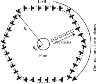 Fig. 6. The model of vacancy dissolution of pores during