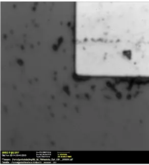 Figure 3.9 – Image au microscope optique d’un plot d’Au (en gris clair sur l’image) sur Ge (gris foncé)