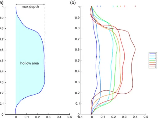 FIGURE 2 Illustration of the maximum depth and hollow area (a) used in the non-Procrustes analyses (semilandmark curves aligned with their first and last points)
