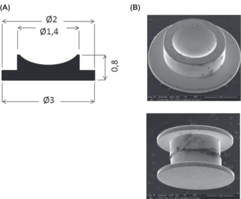 Fig. 1. HPF specimen carrier. In HPF (HPM100 or ICE, Leica, Nanterre, France) samples are frozen in HPF specimen carrier