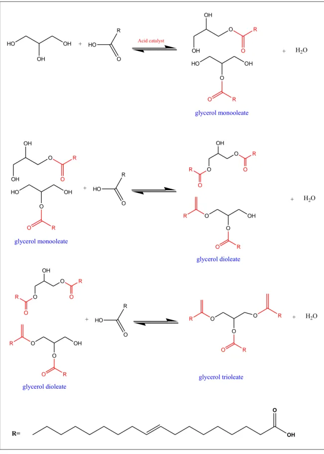 Figure 2.1: Reaction scheme for esterification of glycerol with OA in GMO,  GDO and GTO production  