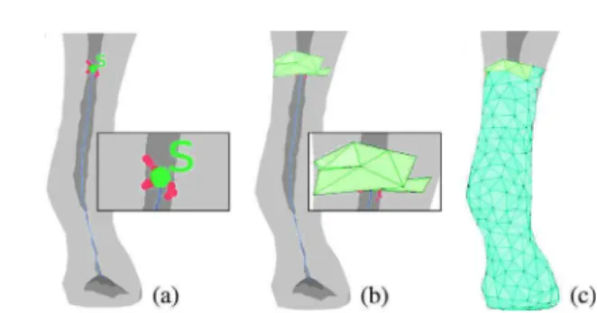 Fig. 4. Volume contribution of a skeleton point. The point s is a point on the curve skeleton