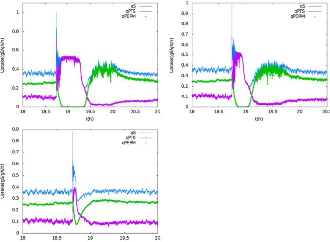 Fig. 10 – Total substrate uptake rate, PTS and Permeases contributions, shortly before and after the pulse
