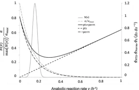 Fig. 2 – The function ˛(S, v)/˛ max (light grey dashed line) controls the induction of permeases for slow growing cells.