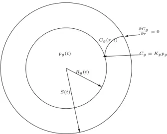 Fig. 1.10 – Cellule ´el´ementaire : une bulle de gaz de rayon R g , entour´ee d’un m´elange