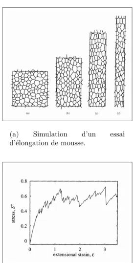 Fig. 1.21 – Simulation d’un essai d’´elongation de structure de mousse, extraite de [68]