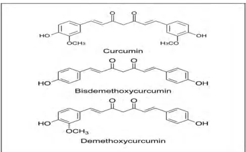 Figure 1.15: Molecular structure of the main compound in curcumin  Curcumin can be extracted from turmeric (Curcuma longa) (Kulkarni  et 