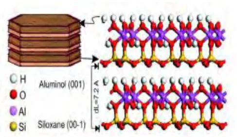 Figure 1.19: Molecular simulation model of kaolinite structure (1 ×2 ×2 unit  cells) showing siloxane and aluminol surfaces 