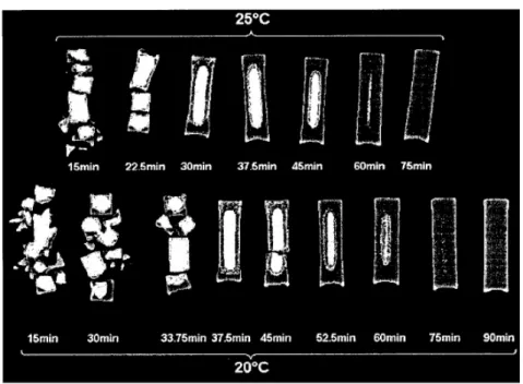 Figure I-21 : Photos d’aérogels de silice pour différentes durées de lavage [102] 