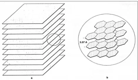 Figure II-20 Schematic representation of the arrangement of platelets in a catalytically grown graphite nanofibre [40] 