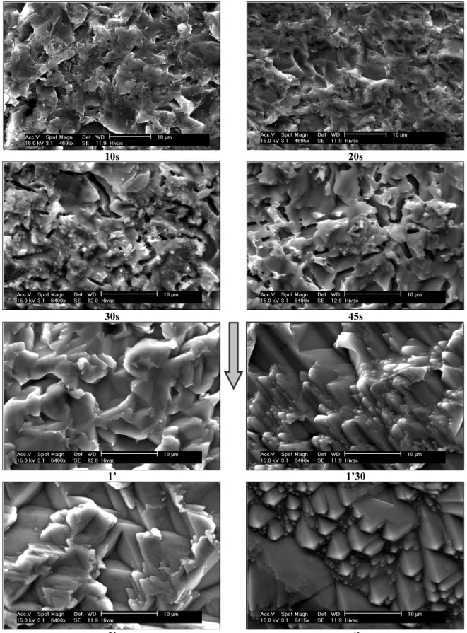 figure 2-18 : images MEB des surfaces attaquées et leur temps d’immersion 