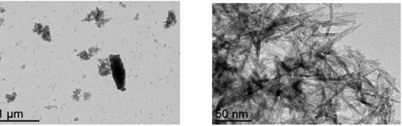 Figure 6. TEM images of hydrated alumina samples resulting from electrolysis with 0.1 mol/L Na 2 SO 4 .