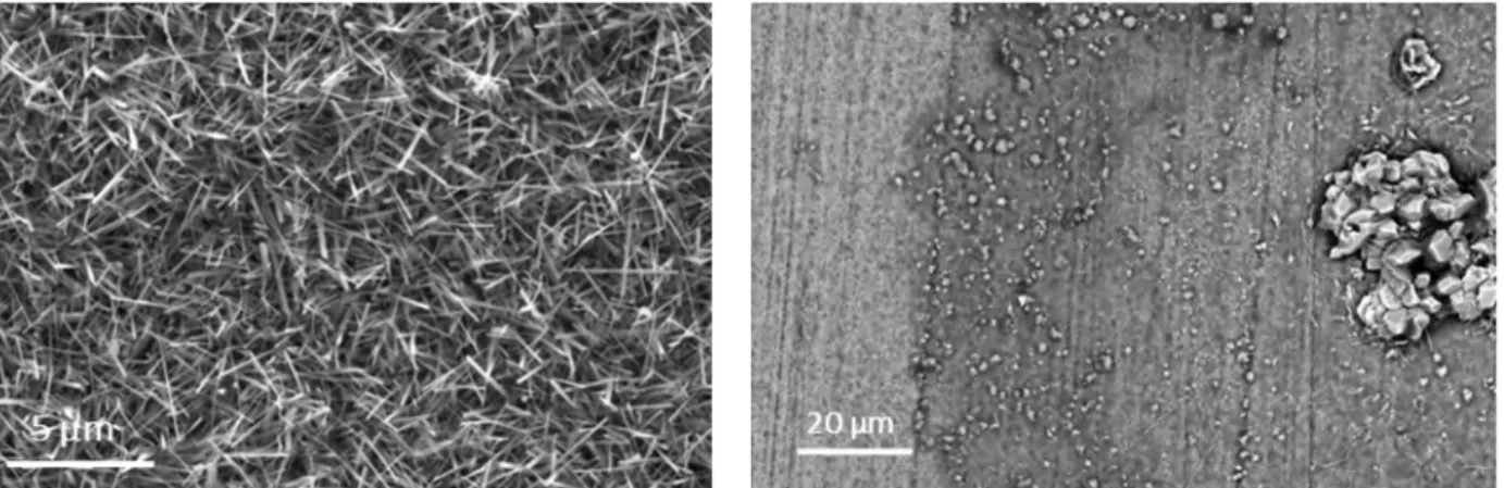 Fig.  1.  SEM  secondary  electrons  surface  and  cross  section  micrographs  of  the  as  processed, Al 2 O 3  coated coupon