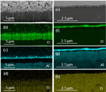 Fig.  4.  FIB-SEM  cross-section  and  Auger  mapping  of  a  coated  sample  after oxidation  during 5000 h at 600°C