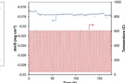 Fig.  6.  Mass  gain  per  unit  area  for  bare  and  coated  Ti6242S  coupons  as  a  function  of  the  square root of annealing time at 600°C