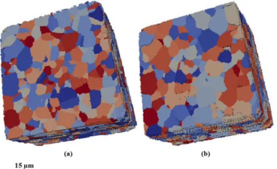Fig. 1.9. 3D microstructure of a nickel based superalloy sample colored by grain id; (a) twins  considered as grains; (b) twins not considered as grains