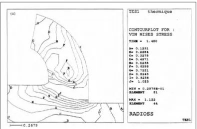 Fig. 1.9 – R´epartition des contraintes `a la ﬁn de la simulation