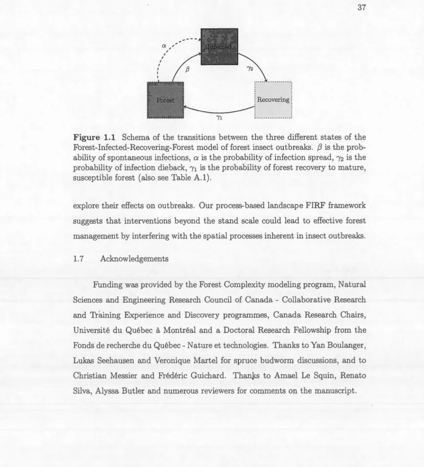 Figure  1.1  Sch e m a  of  th e  tr a n s ition s  b e tw ee n  th e  thr ee  diff e r e nt  s t a t es  of  th e 