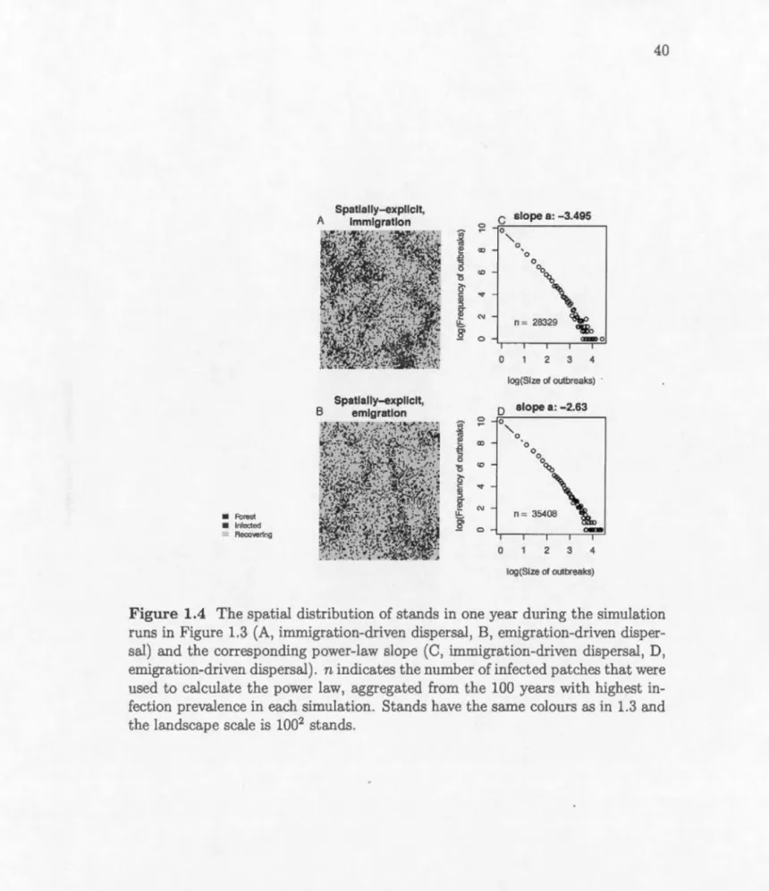 Fig u re  1.4  Th e  spatial  distribution  of  sta nd s  in  one  year  during  the simu l at ion 