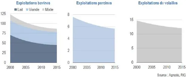 Figure 4 : Evolution du nombre d'élevages en France exprimé en milliers (Marques, 2017) 
