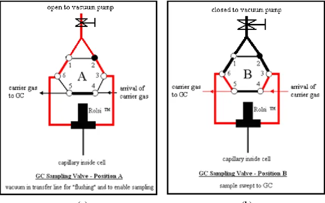 Figure 4-2: Positions of the GC sampling valve during operation for (a) “flushing” and (b)  sampling
