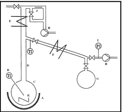Figure 2-14: Purification and degassing apparatus of Fischer and Gmehling (1994).  A: heater; B: thermometer; C: bulb; D: Vigreux column; E: reflux condenser; F: Liebig 