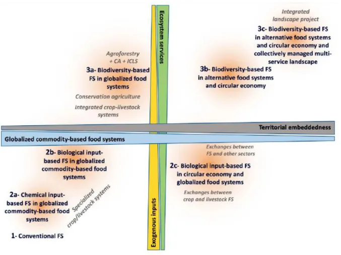 Fig. 1 Main models of agriculture (from 1 to 3b in blue) with farming systems identified based on their varying 