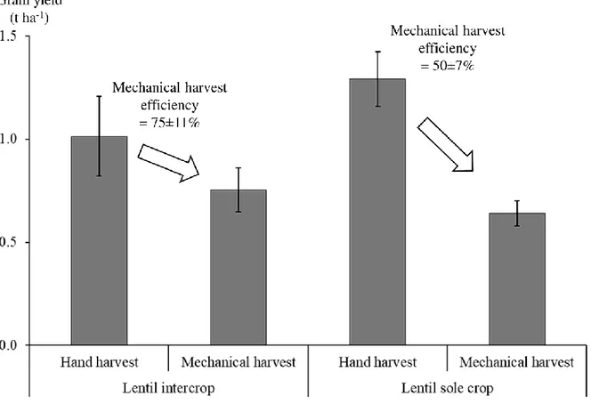 Fig. 6 Mean harvested yields of hand-harvested and mechanically harvested lentil in intercrop and sole crop, used 