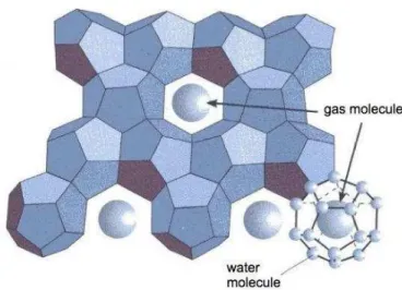 Figure 12. Organisation des molécules d'eau et  de gaz dans l'hydrate  (www.manicore.com) 