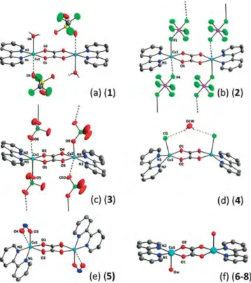 Figure 1. Perspective view of the dinuclear units in compounds 1–8. Colour code: grey (carbon), dark blue (nitrogen), red (oxygen), green (halogen, F or Cl) and pale blue (copper).
