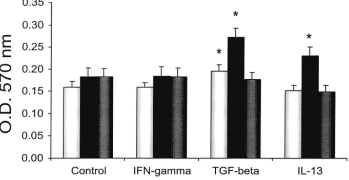 Fig  8.  Proliferation Assay . BSMC  were  grown  in  96-well  plates,  starved  for 24h 