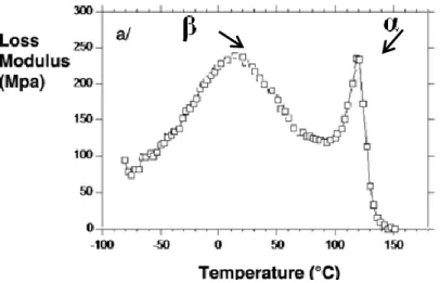 Figure 3.3: Temperature dependence of the loss modulus for a PMMA at 1 Hz. [1] 