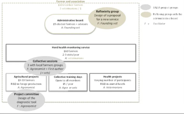 Figure 3: Work conducted by the different groups that emerged in the association during the SALSA project 