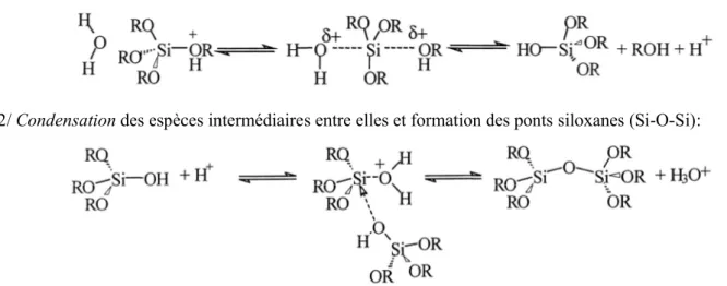 Figure I-6: Influence du pH sur les phénomènes d’agrégation lors de la synthèse des gels de silice [4] L